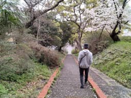 ふくきた｜意思決定ドック 主宰